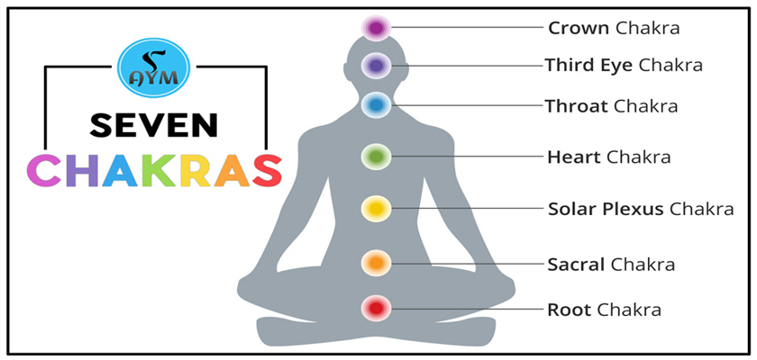 what are the Chakras