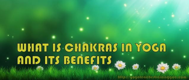 What is Chakras in Yoga and its benefit