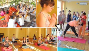200 300 hour Yoga Teacher Training