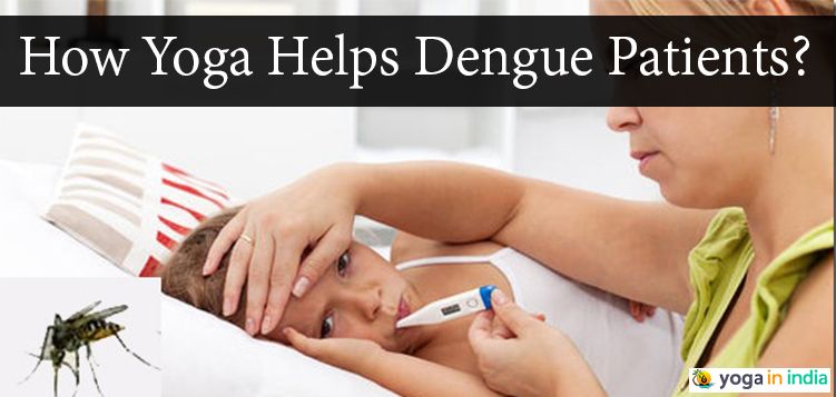 Yoga asanas for dengue patients