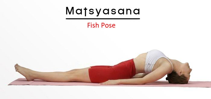Fish pose (Matsyasana)🐠 Benefits: -Stretches the chest and intercostal  muscles between the ribs. -Opens and stimulates the neck, belly and its  organs.... | By YogaShe | Facebook