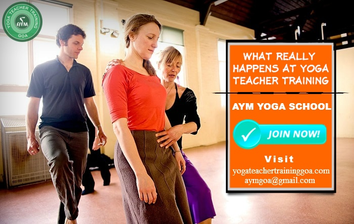 What is yin and yang yoga  AYM Yoga School Goa, India