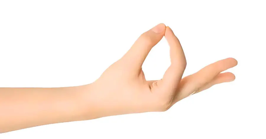 Chin Mudra