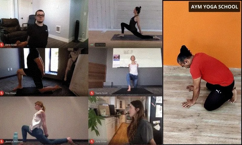 300 hr yoga online