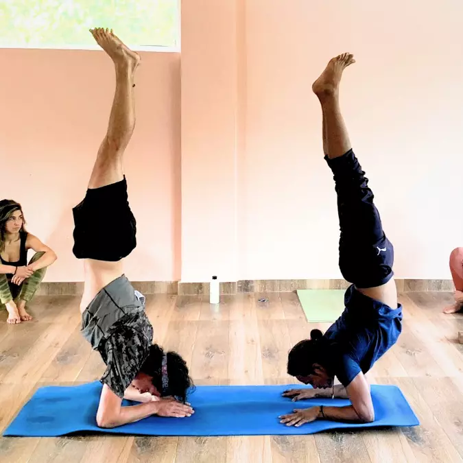 300 hour Yoga Course in India