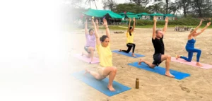 300 hour Yoga Teacher Training in Goa