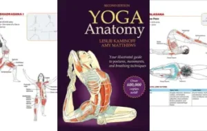 Yoga Anatomy