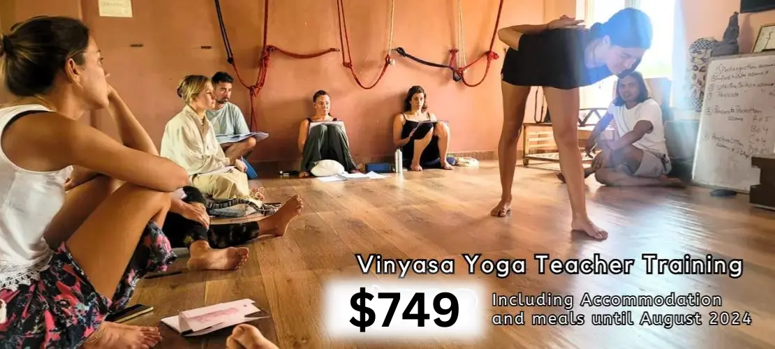 Vinyasa Flow Yoga Teacher Training