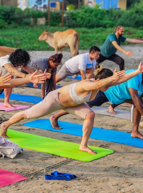 Best 200 hour Yoga Teacher Training in Goa