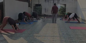 Yoga Teacher Training in India