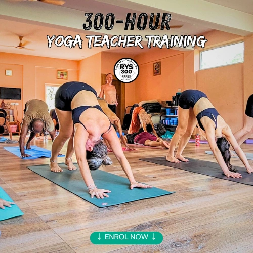 300 hour Yoga Teacher Training