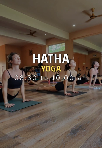 Hatha Yoga drop in class