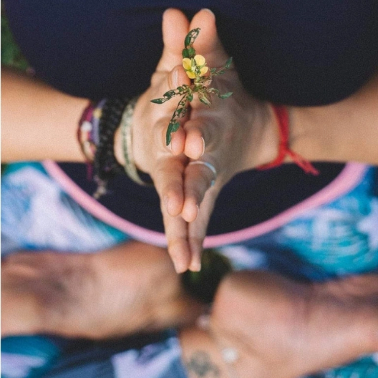 About AYM Yoga School About AYM Yoga School