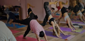 300 hour Yoga Teacher Training in Goa