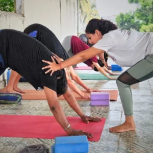 100 hour Yoga TTC in India
