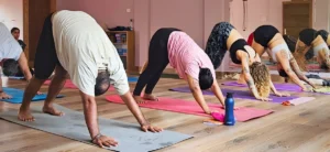 Ashtanga Yoga Training program