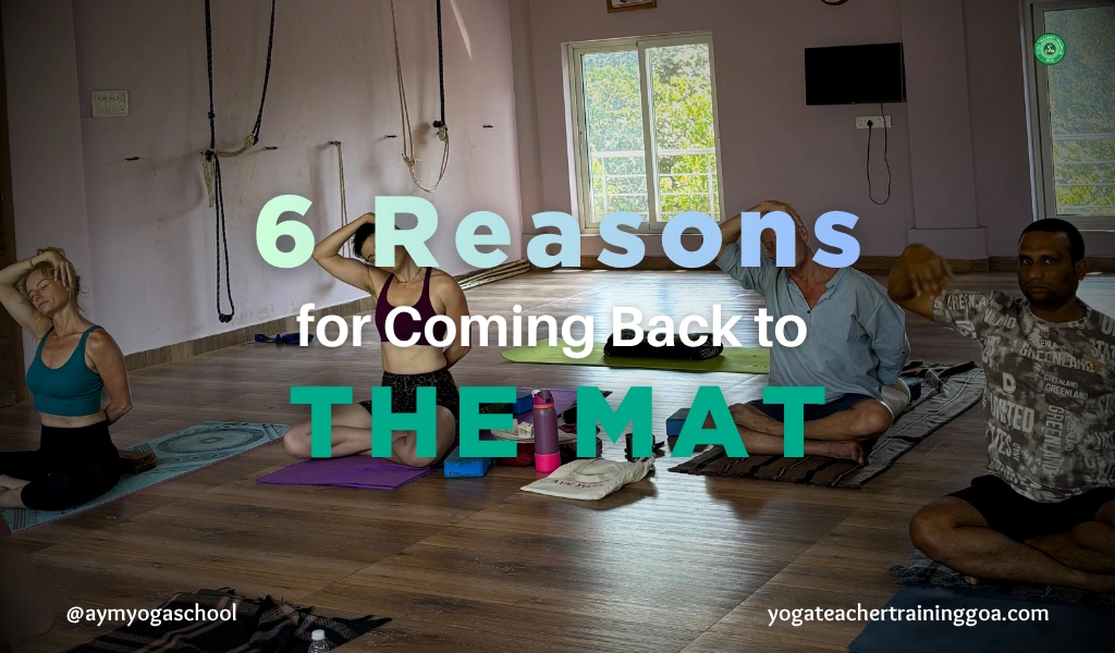 Reasons for Coming Back to The Mat