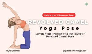 Revolved Camel Pose