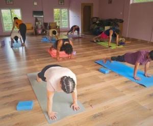 200-hours Asana