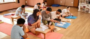 Professional Yoga Courses