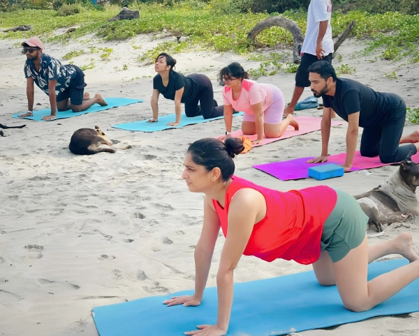 Yoga Teacher Training Bali