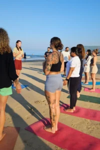 Yoga Teacher Training India