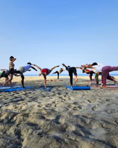 500 hour Yoga Teacher Training Gallery
