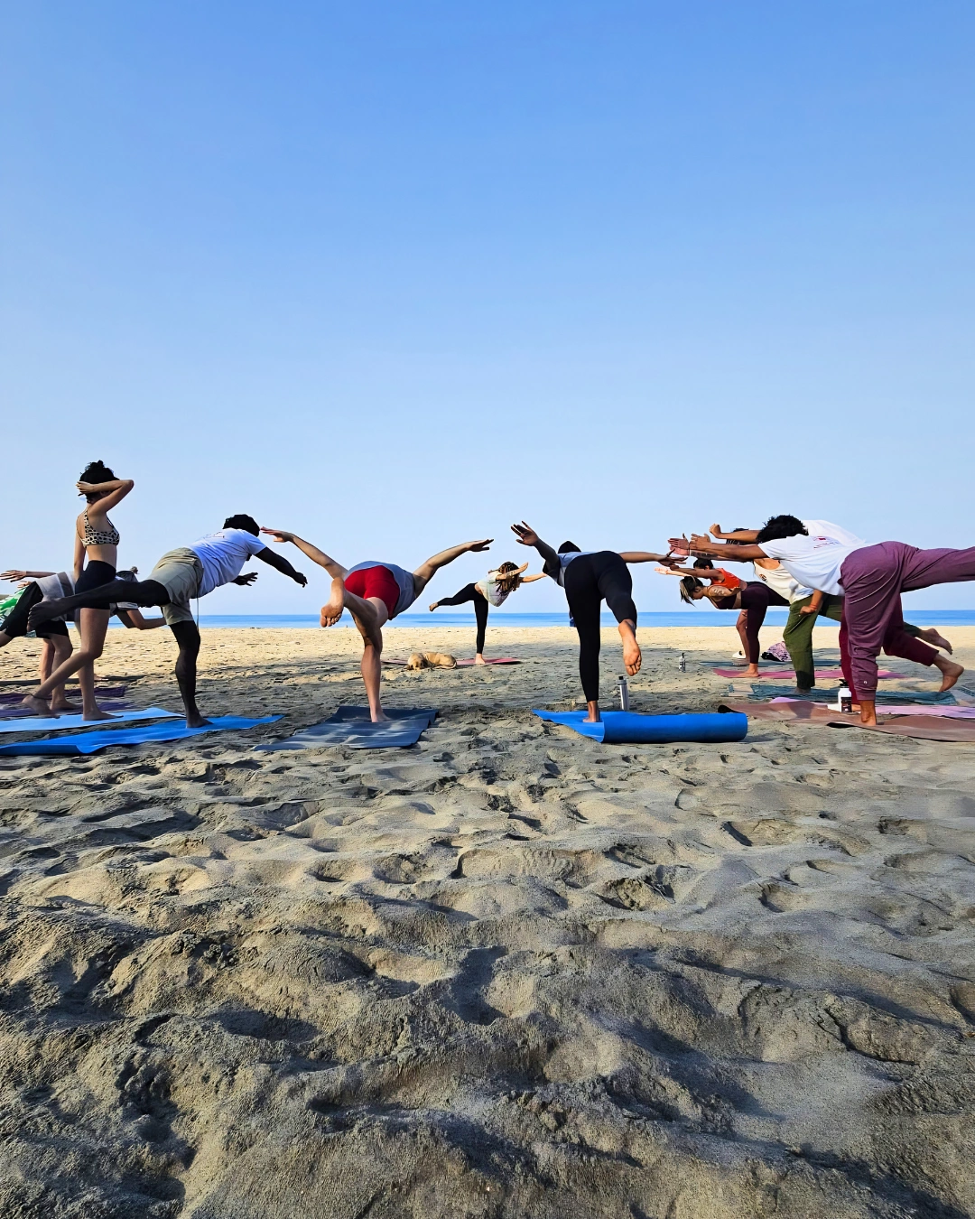 500 hour Yoga Teacher Training Gallery