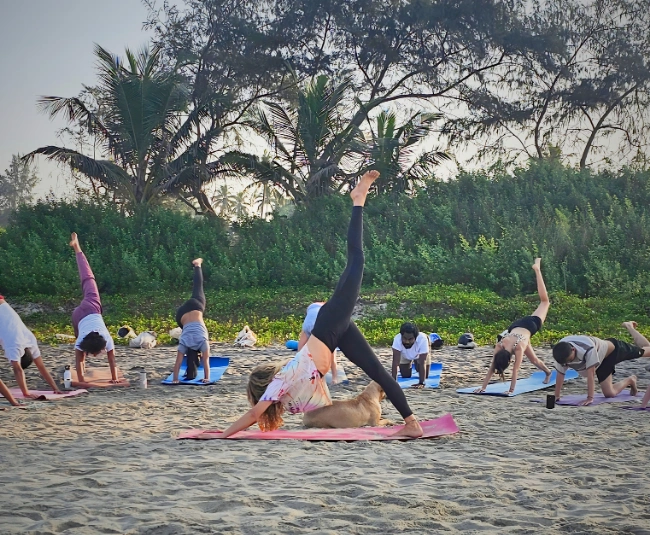 Best 200-hour Yoga Teacher Training in Goa Best 200-hour Yoga Teacher Training in Goa